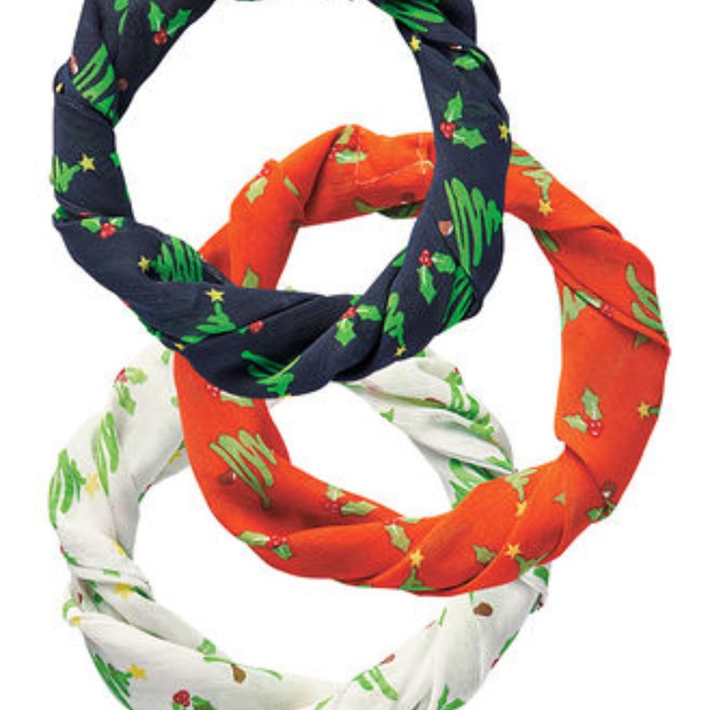 Christmas Holiday Scarf Set NWOT - Picture 4 of 4